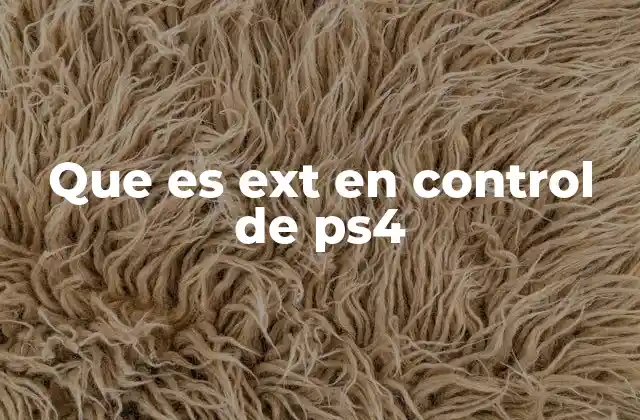 Que es Ext en Control de Ps4