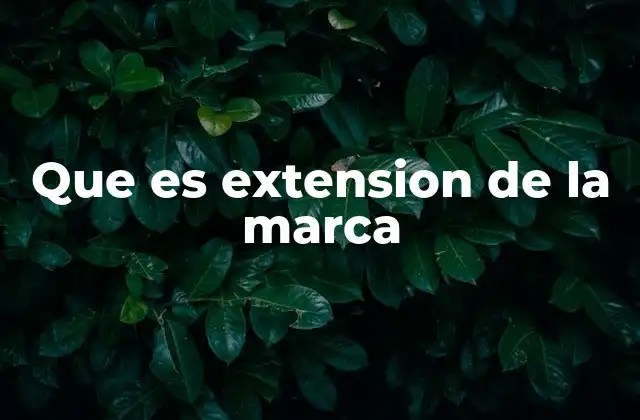 Que es Extension de la Marca