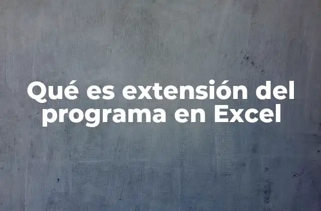 Qué es Extensión Del Programa en Excel