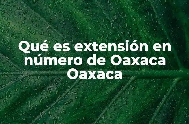 La importancia de la geografía en la administración pública de Oaxaca