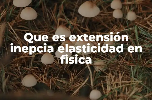 Cómo la física describe las propiedades mecánicas de los materiales