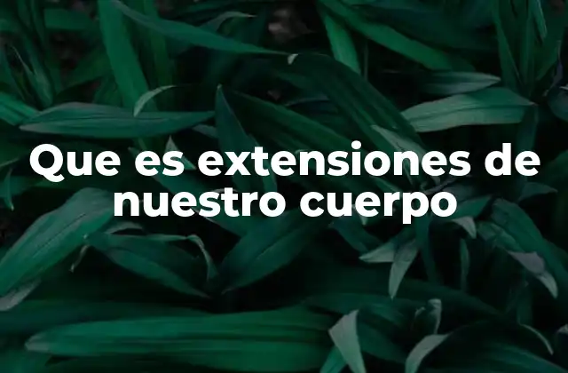 Que es Extensiones de Nuestro Cuerpo