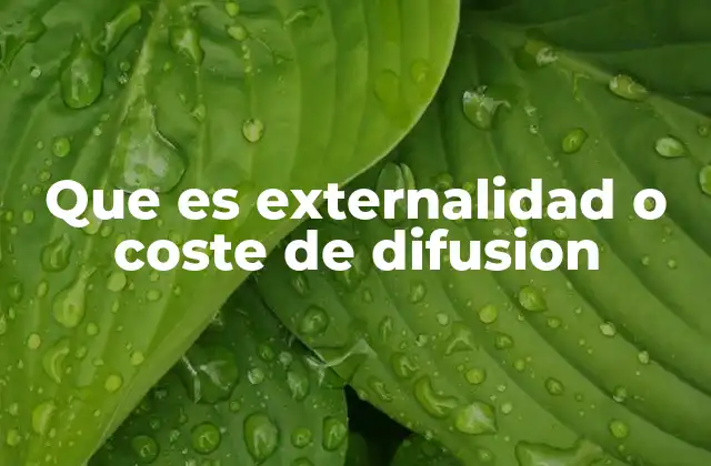 Que es Externalidad o Coste de Difusion