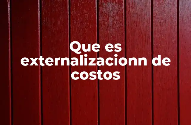 Que es Externalizacionn de Costos