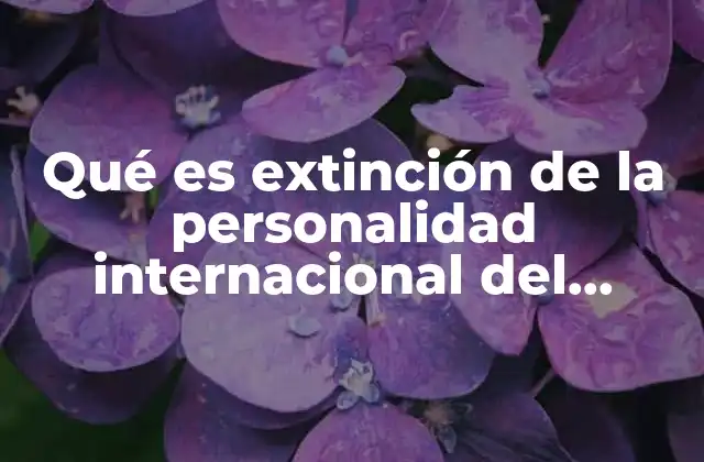 Qué es Extinción de la Personalidad Internacional Del Estado