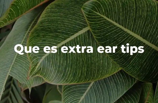 Que es Extra Ear Tips