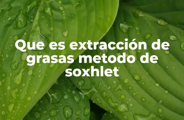 ¿Cómo funciona el método de Soxhlet en la industria alimentaria?