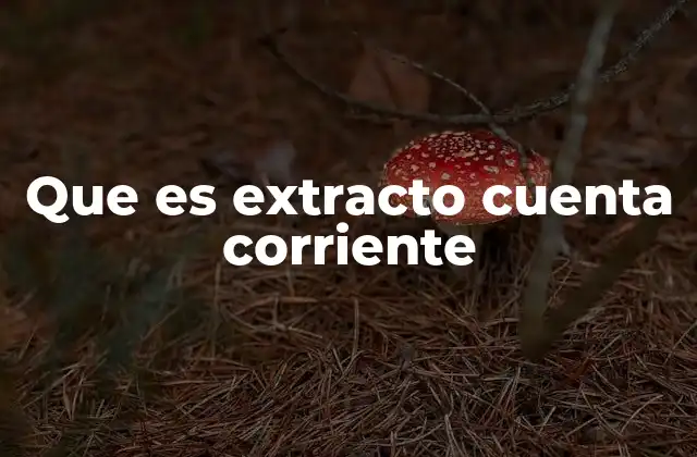 Cómo se obtiene un extracto de cuenta corriente