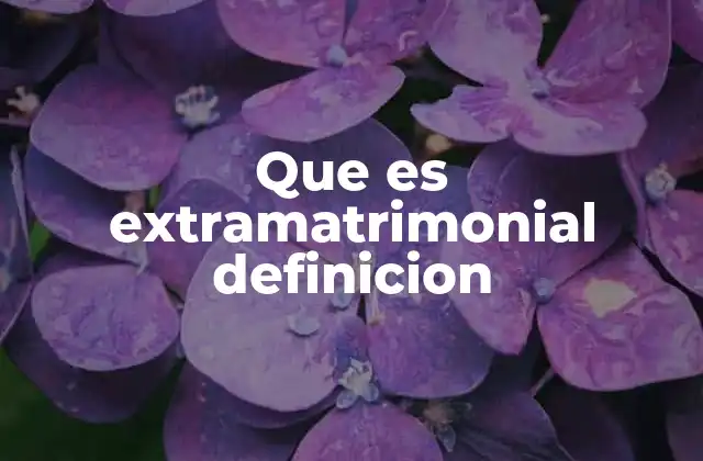 Que es Extramatrimonial Definicion