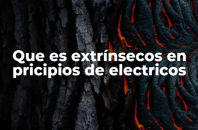Que es Extrínsecos en Pricipios de Electricos