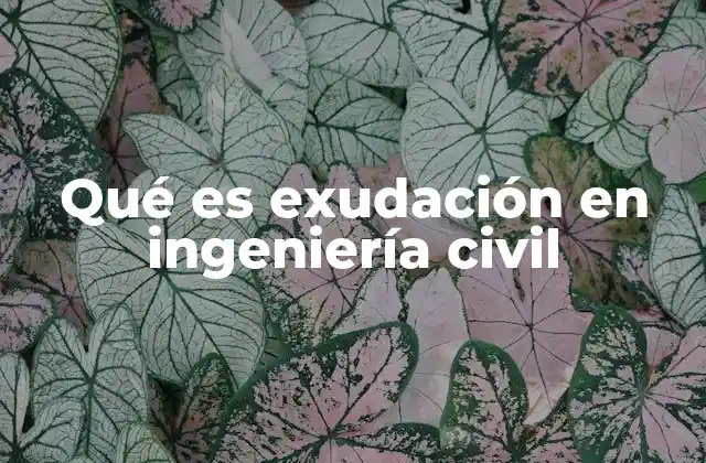 Qué es Exudación en Ingeniería Civil