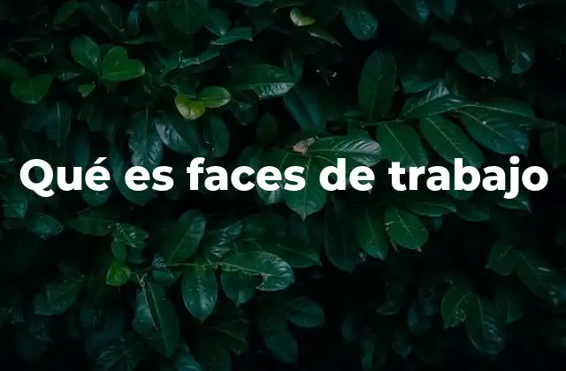 Qué es Faces de Trabajo