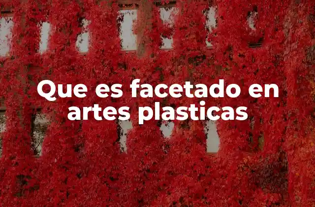 Que es Facetado en Artes Plasticas