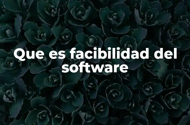 Que es Facibilidad Del Software