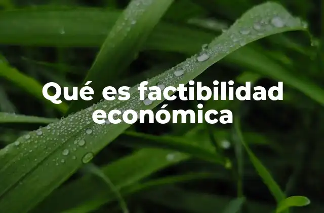 Qué es Factibilidad Económica