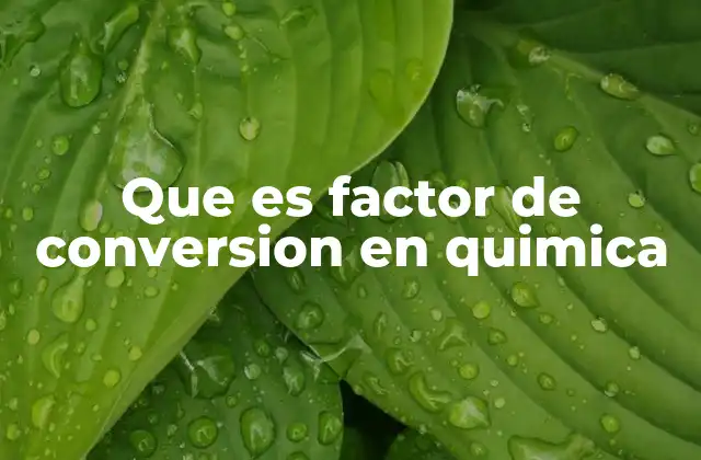 Que es Factor de Conversion en Quimica