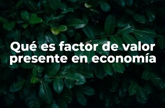 Qué es Factor de Valor Presente en Economía 2 El rol del descuento en el análisis financiero