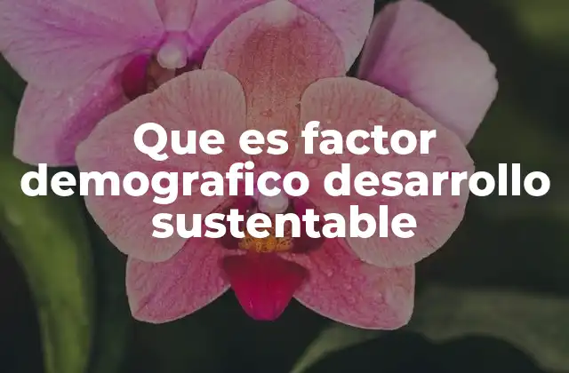 Que es Factor Demografico Desarrollo Sustentable