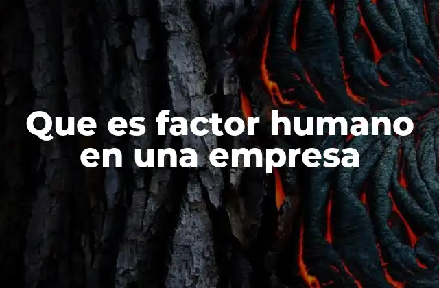 Que es Factor Humano en una Empresa