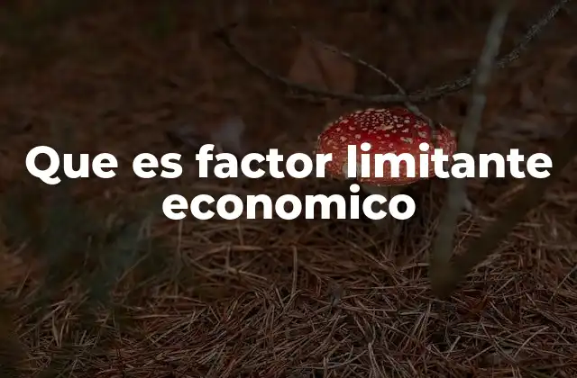 Que es Factor Limitante Economico