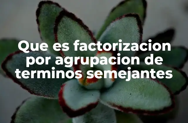Que es Factorizacion por Agrupacion de Terminos Semejantes
