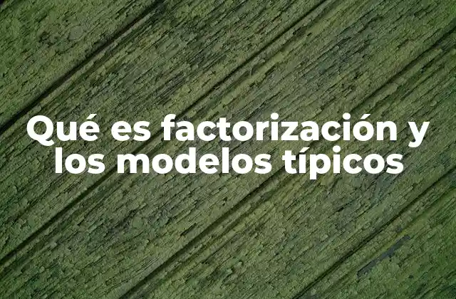 Qué es Factorización y los Modelos Típicos