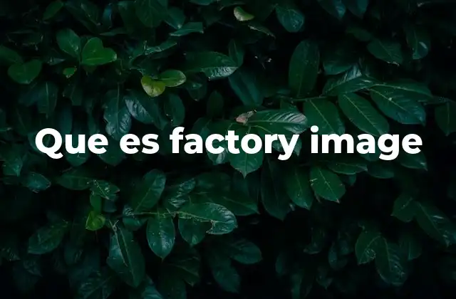 Que es Factory Image