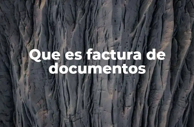 Que es Factura de Documentos