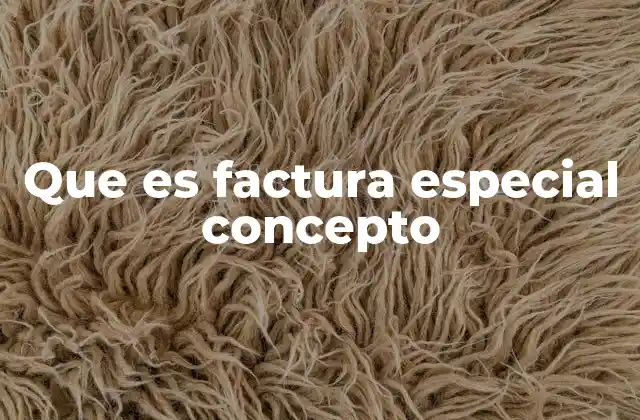 Que es Factura Especial Concepto