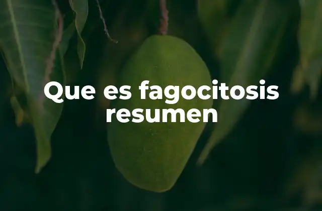 Que es Fagocitosis Resumen 2 El papel de la fagocitosis en el sistema inmunológico