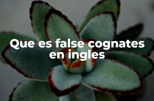 Que es False Cognates en Ingles 2 Cómo afectan los false cognates al aprendizaje del inglés