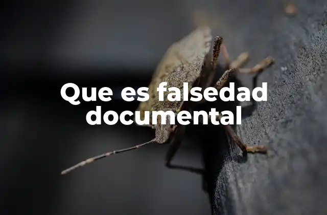 Que es Falsedad Documental