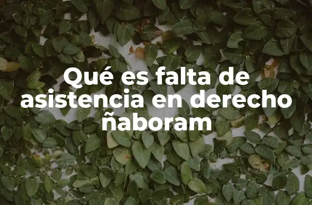 Qué es Falta de Asistencia en Derecho Ñaboram