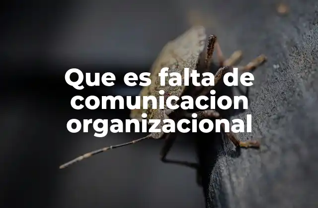 Que es Falta de Comunicacion Organizacional