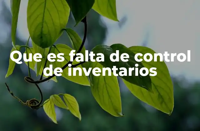 Que es Falta de Control de Inventarios