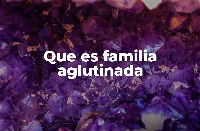 Que es Familia Aglutinada