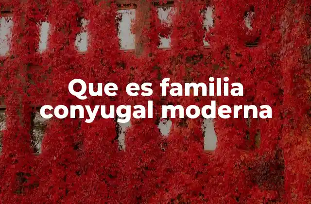 Que es Familia Conyugal Moderna