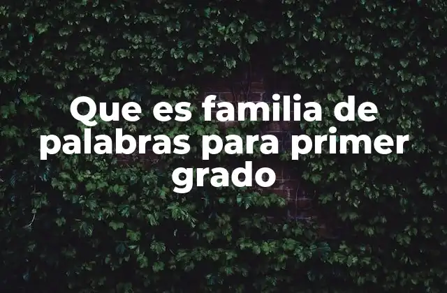 Que es Familia de Palabras para Primer Grado