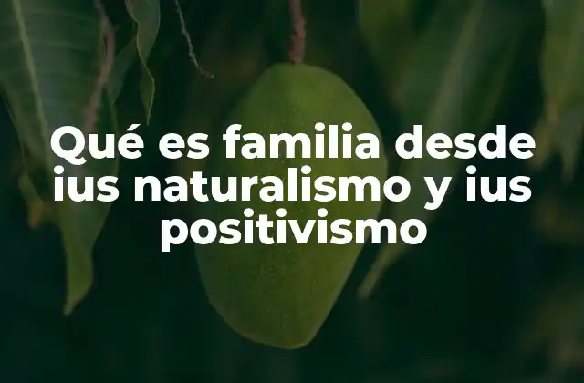 Qué es Familia desde Ius Naturalismo y Ius Positivismo