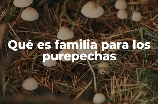 Qué es Familia para los Purepechas