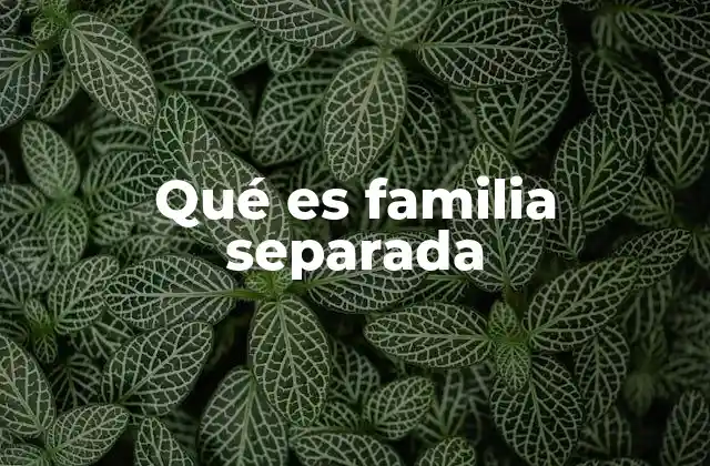 Qué es Familia Separada
