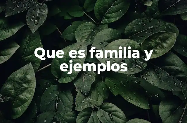 Que es Familia y Ejemplos
