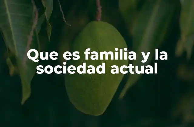 Que es Familia y la Sociedad Actual