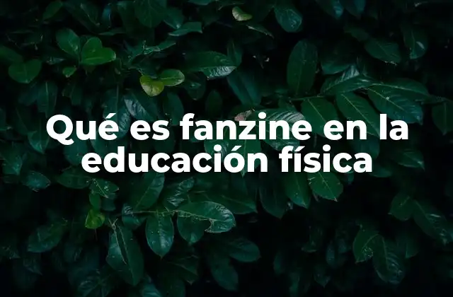 Qué es Fanzine en la Educación Física