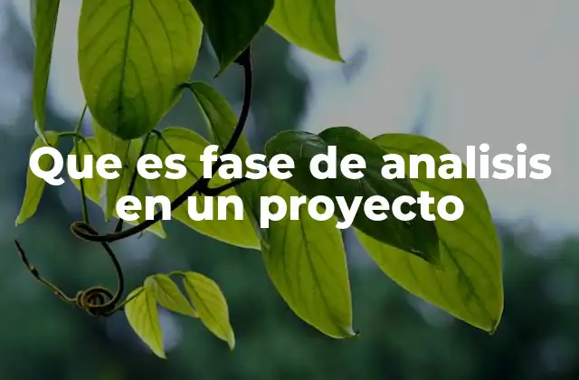 Que es Fase de Analisis en un Proyecto