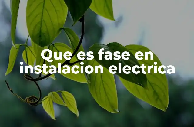 El rol de la fase en la distribución eléctrica