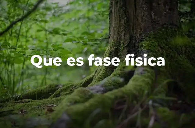 Que es Fase Fisica