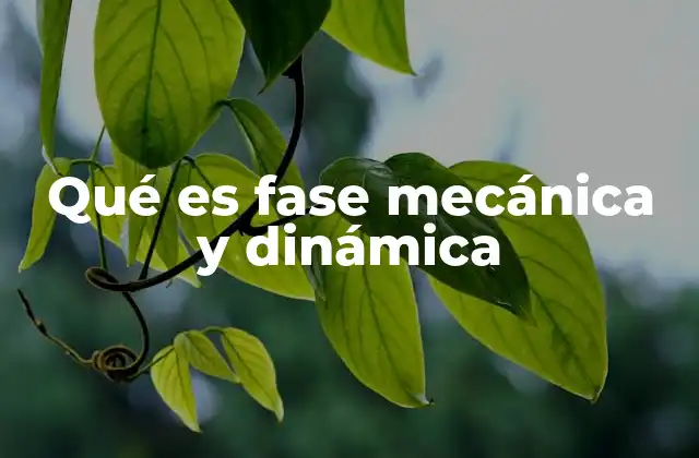 Qué es Fase Mecánica y Dinámica