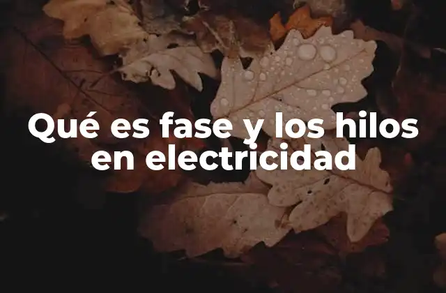 Qué es Fase y los Hilos en Electricidad