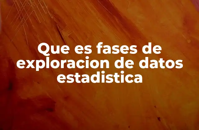 Que es Fases de Exploracion de Datos Estadistica